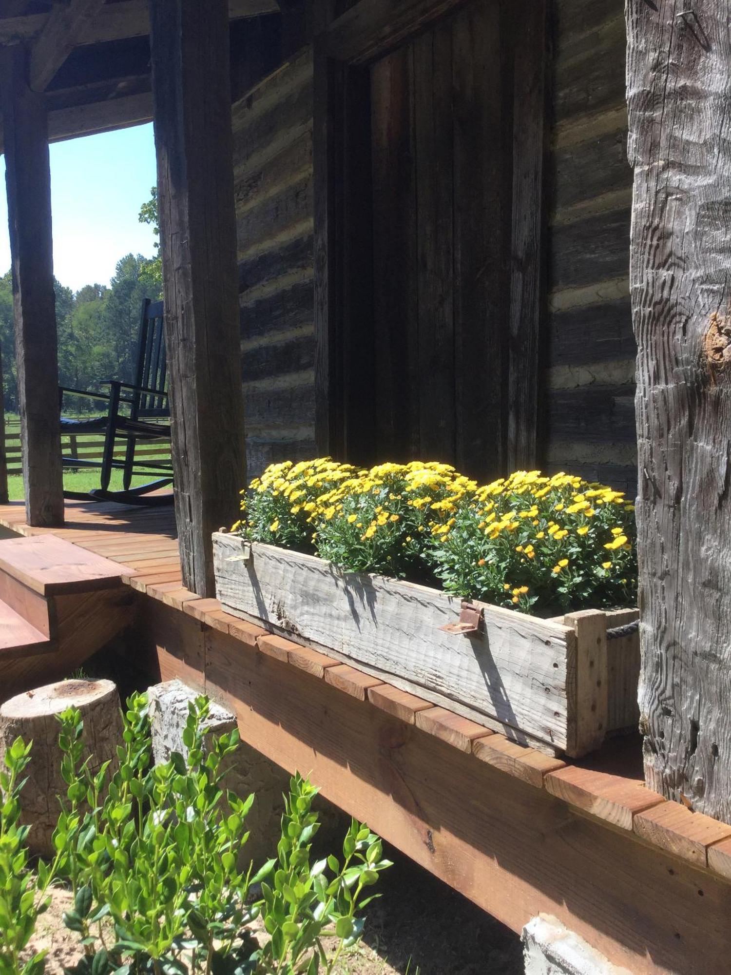 Coulter Farmstead Bed & Breakfast Washington Ruang foto